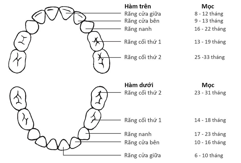 Nhổ răng hàm 