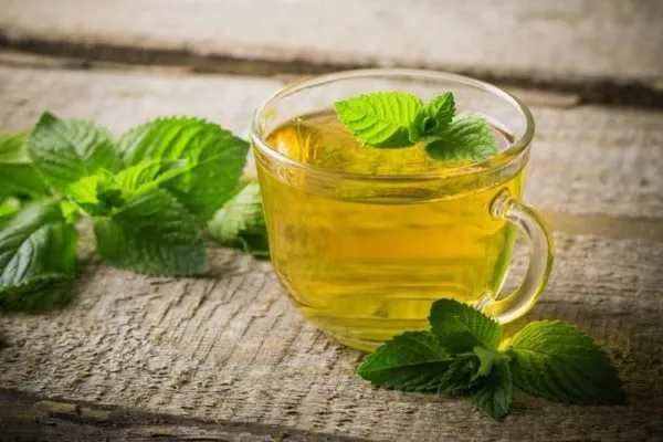 Cách giảm cơn đau răng bằng trà bạc hà