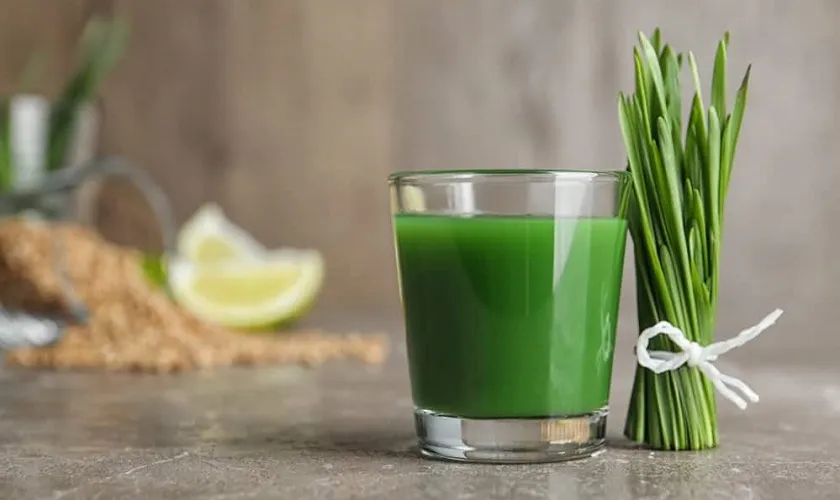 Cách trị nhức răng bằng cỏ lúa mì