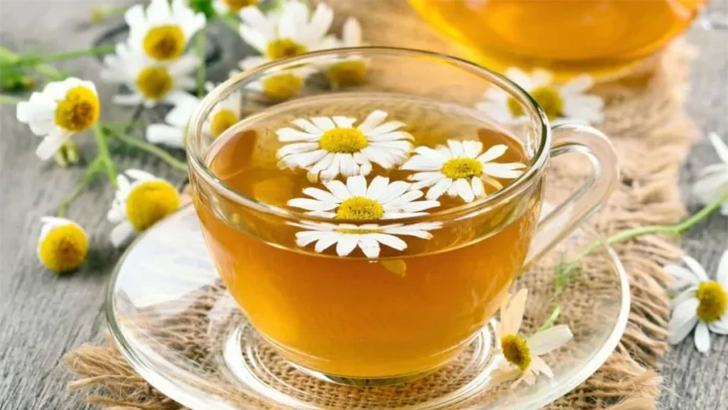 Dùng trà hoa cúc để trị nhiệt miệng