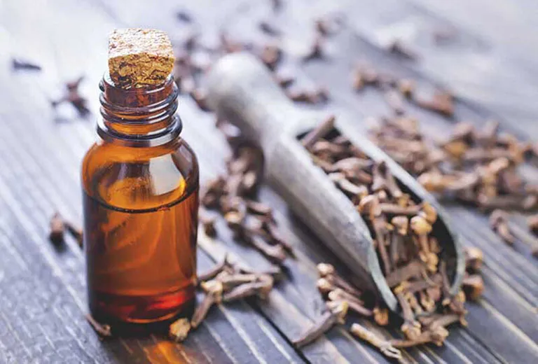 Mẹo giảm đau răng bằng đinh hương