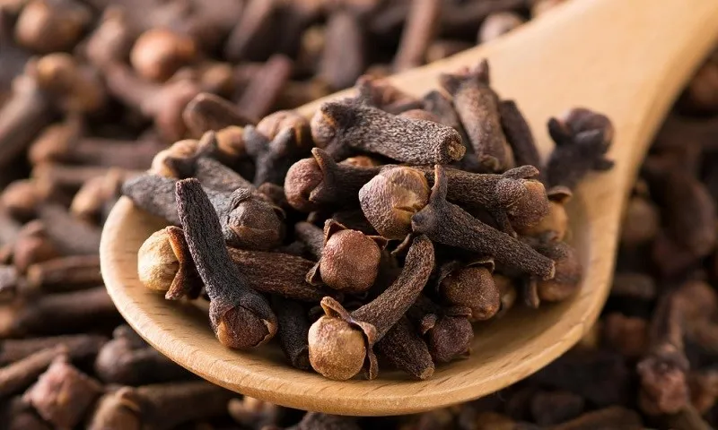 Sử dụng đinh hương